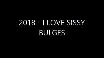 2018 - I LOVE SISSY BULGES Konulu Porno
