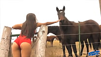 The Hot Lady Horse Whisperer - Amazing Body Lat... Konulu Porno
