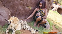 backseat fuck a wild african safari min Konulu Porno