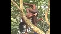 sex in the tree sec Konulu Porno