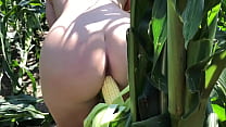 Riley Jacobs playing in corn field Konulu Porno